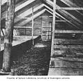 Japanese barrack interior on Attu.