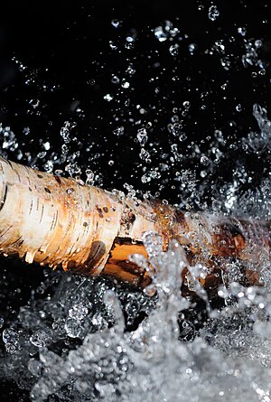 Spring water from the melting ice of a lake.