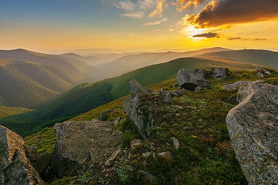 Reserve forest in Zakarpattia Oblast by User:Misha Reme