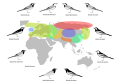 subspecies map