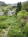 View down towards the track from one of the slate inclines.