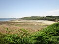 La plage de Poul Rodou vue de l'ouest depuis le GR 34 (en Guimaëc). À l'arrière-plan la pointe de Lezingard 2.