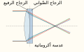 العربية