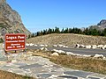 Logan Pass