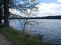 Čeština: Pohled na rybník Černiš, jeden z Vrbenských rybníků‎, České Budějovice. English: Černiš pond, one of the Vrbenské Ponds, České Budějovice, South Bohemian Region, Czech Republic.