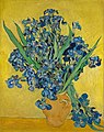 "VanGogh-Irises_3.jpg" by User:MrChrisWin