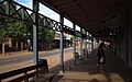 Tombstone, AZ