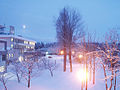 Thumbnail for File:Snowy aiu.jpg