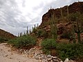 Sabino Canyon