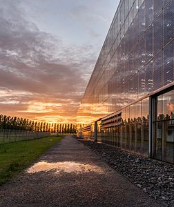 "Akademie_Mont-Cenis-Sonnenuntergang-2016.jpg" by User:Tuxyso