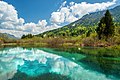 Zelenci, spring of Sava Dolinka