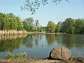 Silbersee in Lößnig