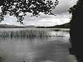 Lough Gill