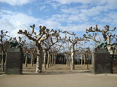 ... Platanenhain Garden