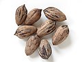 Pecans