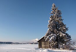 Rural winter landscape, Finland