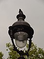 * Nomination: Bad weather over a pigeon on a streetlamp, Place Monge, Paris. --Jebulon 22:20, 8 May 2010 (UTC) * * Review needed