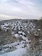 Freudenberg-014 crop