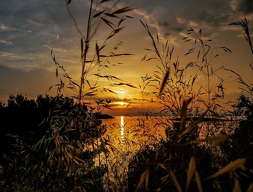 National Park Mljet Photograph: ZovkoM