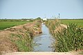 osmwiki:File:Acequia Albufera.jpg