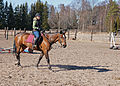 * Nomination: Warmblood mare. --kallerna 07:31, 30 April 2010 (UTC) * * Review needed