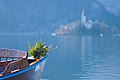 Pletna and Bled Island in background