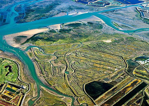 National natural reserve "Lilleau des Niges", Isle of Ré, by Yann Werdefroy