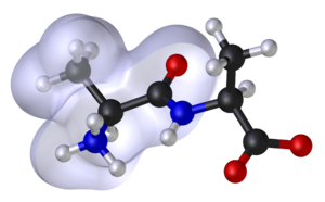 Molecular model