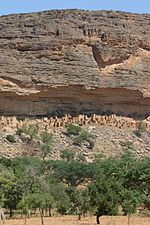 Thumbnail for File:Bandiagara escarpment2.jpg