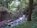 Čeština: Dobrovodský potok u vsi Dobrá Voda u Českých Budějovic English: Dobrovodský Creek at the village of Dobrá Voda u Českých Budějovic, České Budějovice District, Czech Republic