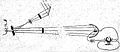 Diagram of the Photophone, image is taken from Alexander Graham Bell's 1880 paper.