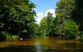 Watauga River