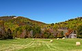 Brushy Mountains