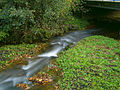 * Nomination Rougegoutte river, in Rougegoutte (France) --ComputerHotline 20:08, 2 November 2013 (UTC) * Decline Artifaction in top left. --Mattbuck 21:54, 5 November 2013 (UTC)