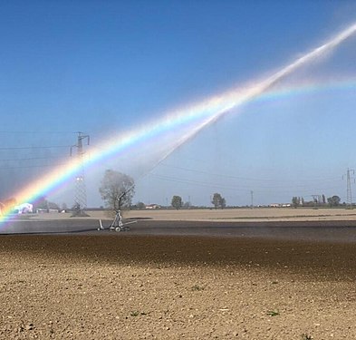 Arcobaleno speciale