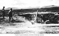 Japanese artillery crew trains on Attu, sometime in 1943.