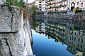 Reflection in Ljubljanica river