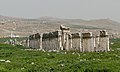   Apamea