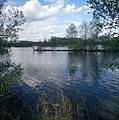 Čeština: Rybník Domin, jeden z Vrbenských rybníků‎, České Budějovice. English: Domin pond, one of the Vrbenské Ponds), České Budějovice, South Bohemian Region, Czech Republic.