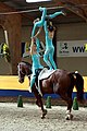 Category:Vaulting