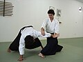 osmwiki:File:Aikido Nikkyo.jpg