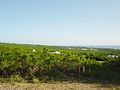 On the western coastal plain, looking south-southwest towards Charlestown