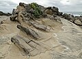 * Nomination: Rock formations of Xiaoyeliu, Taiwan --Bgag 00:31, 8 December 2011 (UTC) * * Review needed