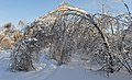 * Nomination Icy birch, Moscow Oblast. --Aleks G 21:37, 4 December 2011 (UTC) * Promotion QI to me--Lmbuga 20:21, 4 December 2011 (UTC)