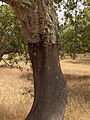 Alentejo, Portugal