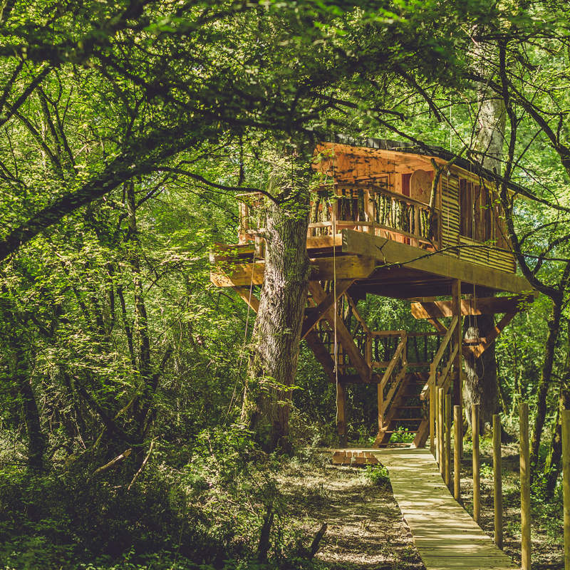 Tres cabañas en los árboles para sumergirse en los bosques de Navarra