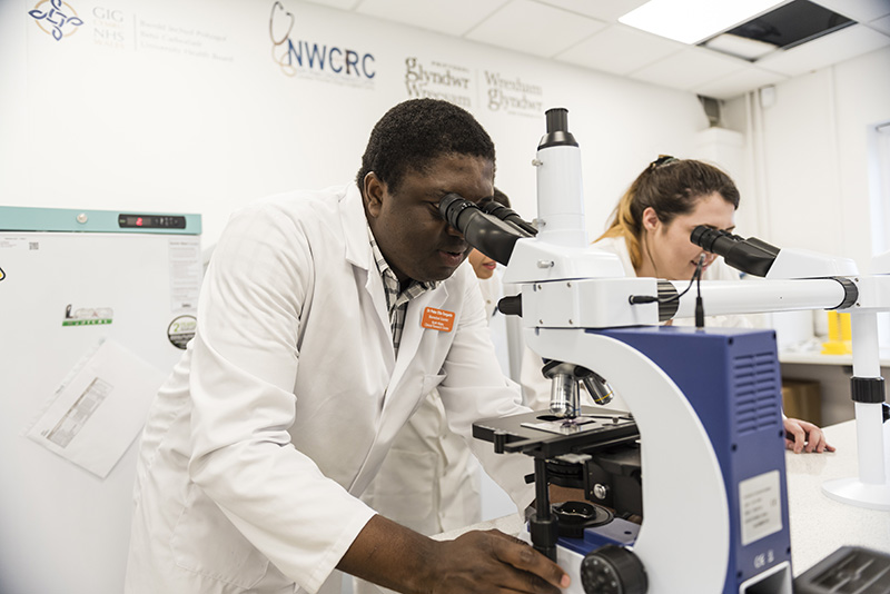 Using a microscope in a lab