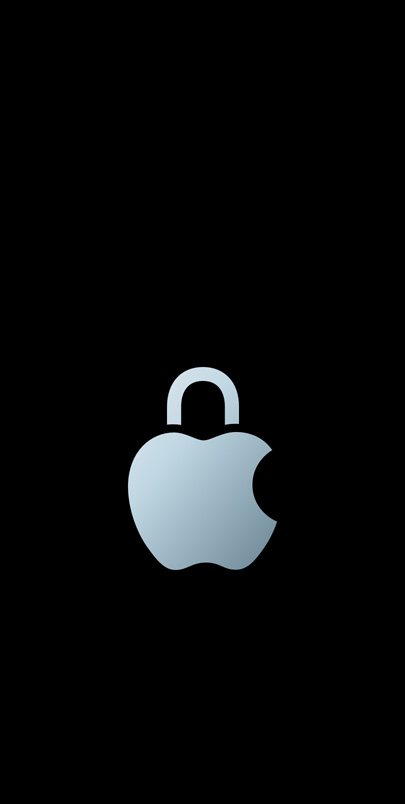 Appleov logotip za privatnost.