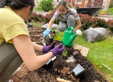 Bees for Peace gardening project