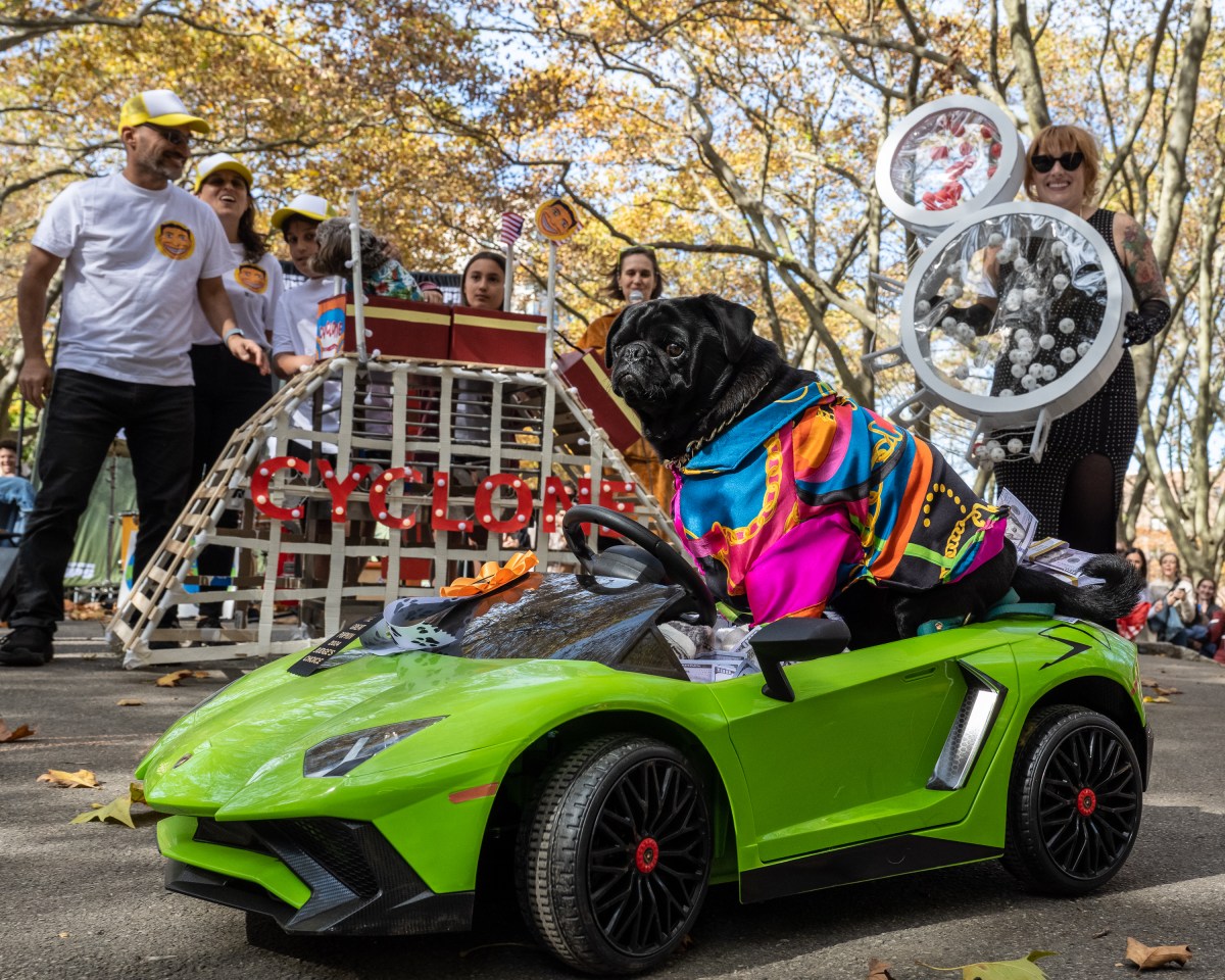 fort greene dog costume contest PUPkin